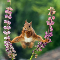 IMG-1be6f3077dc793fe42729765965a57fb-V.webp