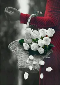 88828b7e4736e72f5377ef501107e54f.webp