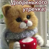 2541afe922418d143cdd3654962526a0.webp