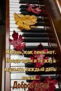 Screenshot_20201204_122206.webp