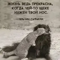3C61A3E7-EC04-44D3-97C1-C4255B5C7EF3.webp