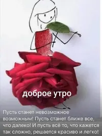 Screenshot_20201205_140013.webp