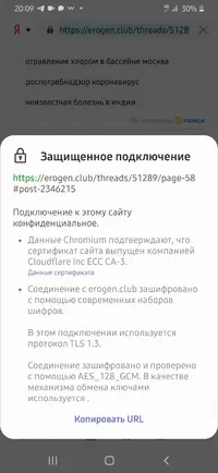 Screenshot_20201207-200921_Samsung Internet.webp