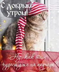 1d0d8f8262a060aafee9ad61308b07ba.webp