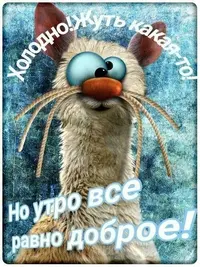 IMG-20201209-WA0001.webp