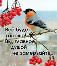 Screenshot_20201209_203837.webp