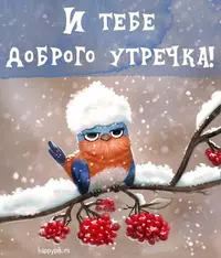 33a420bdd8c431e432a1a80296d7c425.webp