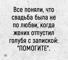 IMG-c52a60fbb5e3b13b1185d1a7e2e97e11-V.webp