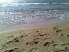 IMG_20160418_095417.webp