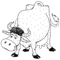 image.webp