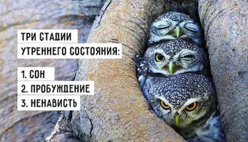 Пробуждение.webp
