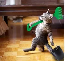 дддд.webp дддд.webp