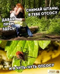 96a46a9145a5b53ec095f6dba2313c43.webp