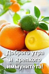 IMG-20201210-WA0001.webp