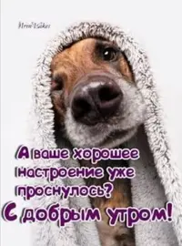 Screenshot_20201210_092116.webp