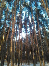 tmp-cam-621584747.webp