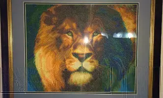IMG_20201213_053210.webp