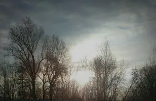 tmp-cam-833470954.webp
