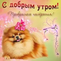 krasivye-otkrytki-kartinki-s-dobrym-utrom-chast-1-aya-txt-4-width320.webp