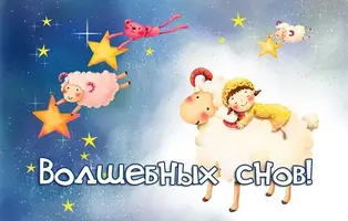 7RPsD0KPAYc.webp
