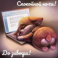 8458217babd7720dd138d5d1e915fcdc.webp