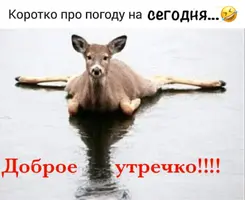 IMG-c7904306b051798c3a8afbeeeddc1d3b-V.webp