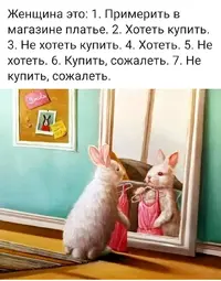IMG_20201215_105937.webp