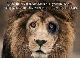 ae7b4f3c2a11fe566312ed18e1639a24.webp