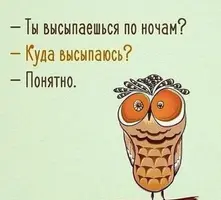 f804feee6be35c1f8d4dd40a28440a80.webp