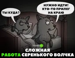 3MpNgDy1Bq0.webp