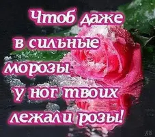 zW1iAqRua7M.webp