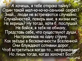 22829571 (1).webp