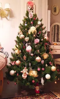 IMG_20201219_225337__2020.12.19-11.11.03.webp