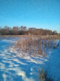 tmp-cam--1348655930.webp