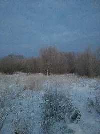 tmp-cam--1348655930.webp