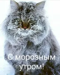 67fbeefa0cd67086bb5092fab9afa838.webp