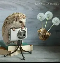 Screenshot_20201223-205239~2_compress47.webp