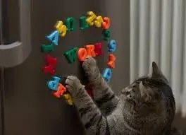 34D1C639-6BFF-4D1C-BC9F-AB485DBC2B33.webp