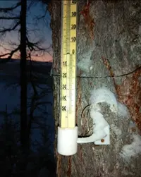 Screenshot_20201224_205429.webp