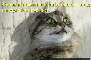 f65ab1dc1f56f90edd15d54033ebd2a8.webp