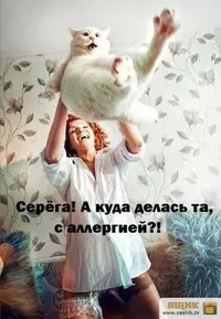 4ce8b122fd806add76ff129c824b6067.webp