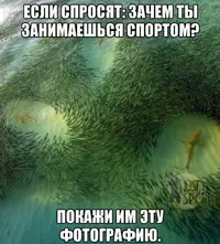 i (2).webp