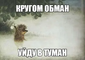 JhwjuOY8iBo.webp