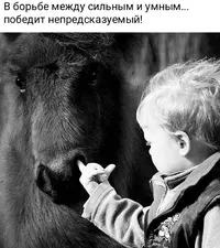 c71a956a5a7b4b09388950943260b6ba.webp
