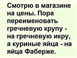 FB_IMG_1609284801204.webp