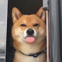 gigDgvPK2k0.webp