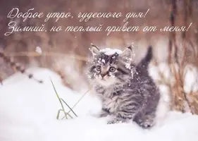 b39b718a94256a8990682fa39986854c.webp