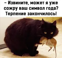 IMG-69ad47a861b093454eba4ad53a1d392a-V.webp