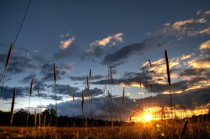 _DSC7378_79_80_photomatrix_pro_4.2.7.webp