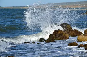 _DSC1554.webp